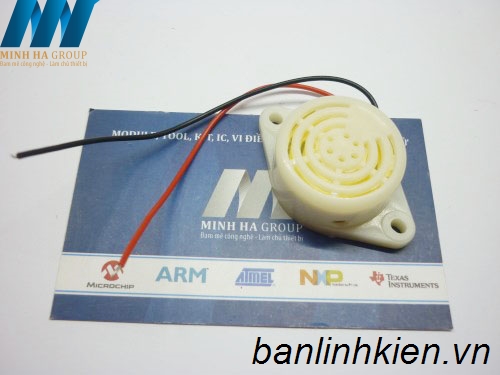 Còi Thạch Anh SFM-27 DC3-24V