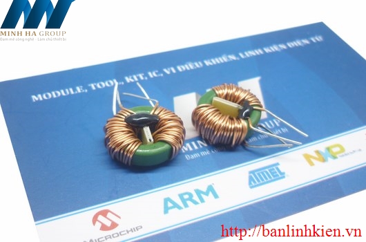 Cuộn Lọc 5mH 13x8x5MM