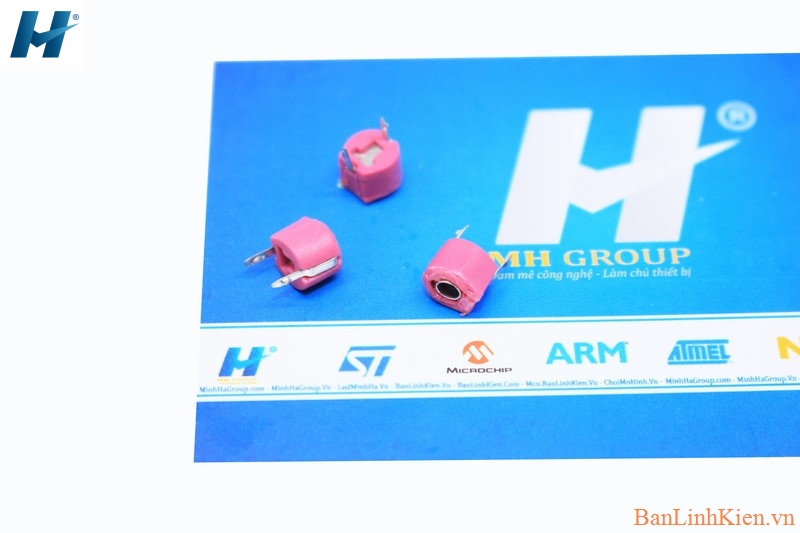 Tụ Xoay 20P 6MM