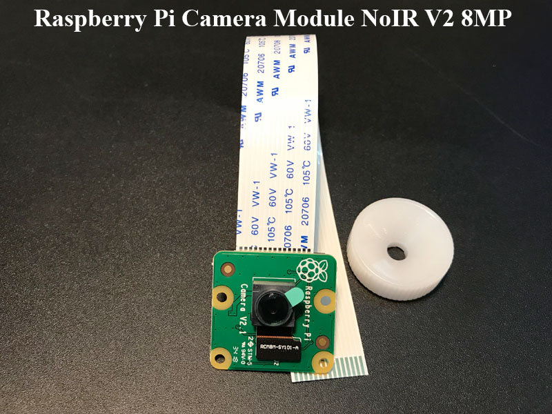 Module Camera Raspberry Pi NoIR V2 8MP