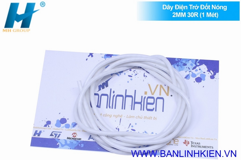 Dây Điện Trở Đốt Nóng 2MM 30R (1 Mét)