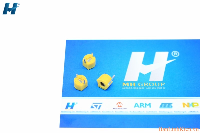 Tụ Xoay 40P 6MM