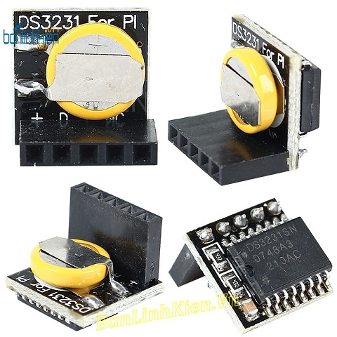 Module DS3231 Raspberry Pi