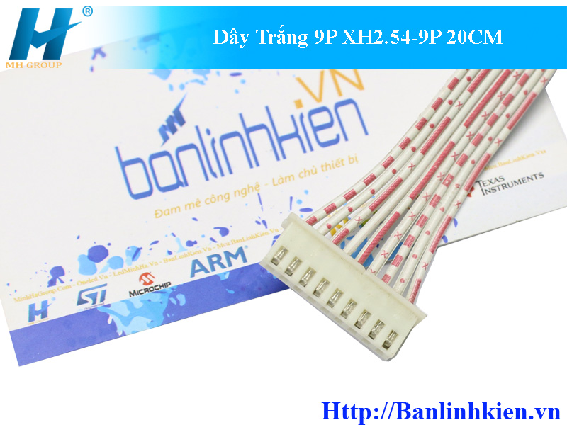 Dây Trắng 9P XH2.54-9P 20CM