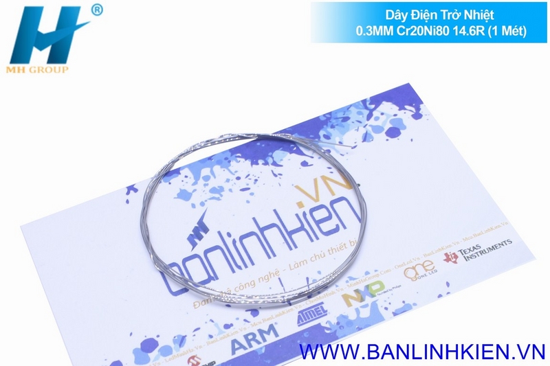 Dây Điện Trở Nhiệt 0.3MM Cr20Ni80 14.6R (1 Mét)