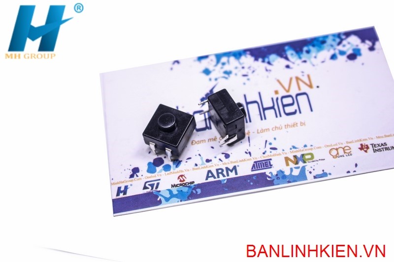 Công Tắc Đèn Pin 4P CT-214A