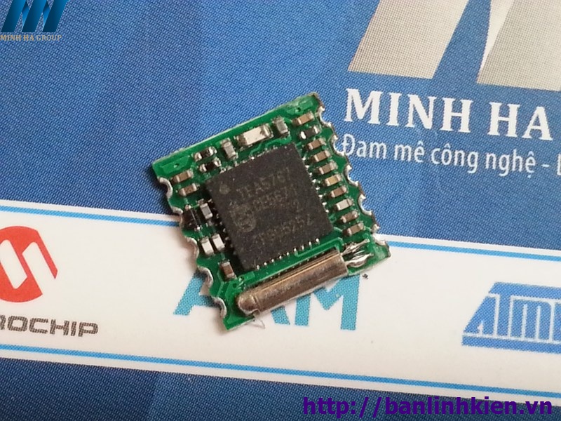 Module FM TEA5767