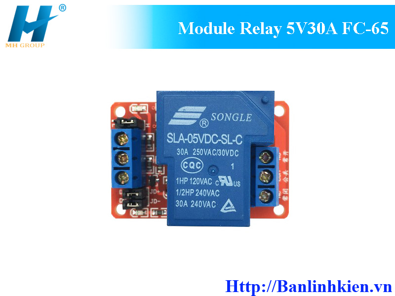 Module Relay 5V30A FC-65