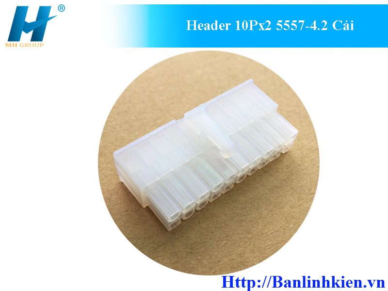 Header 10Px2 5557-4.2 Cái