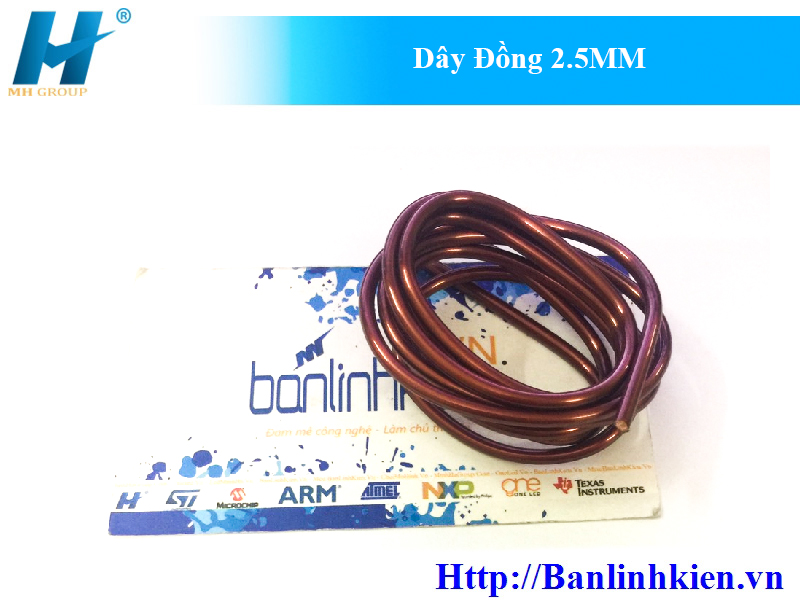 Dây Đồng 2.5mm (1m)