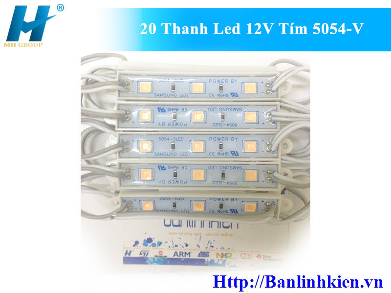 20 Thanh Led 12V Tím 5054-V