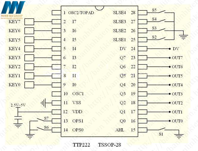 TTP222E-807 SSOP28 IC TOUCH PAD