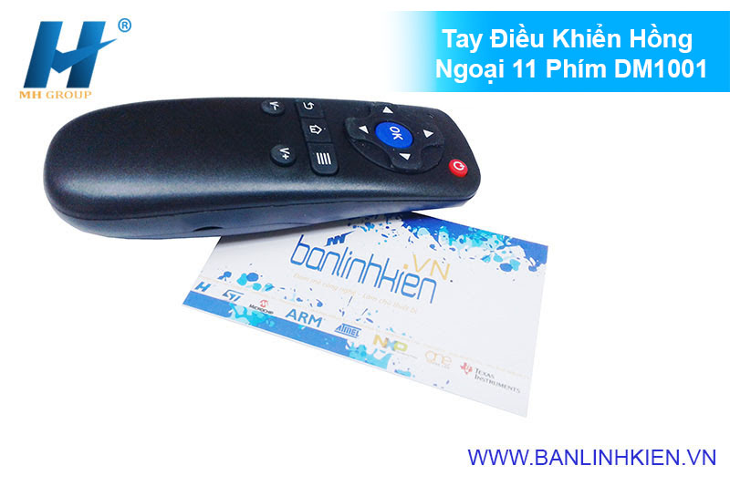 Tay Điều Khiển Hồng Ngoại 11 Phím DM1001