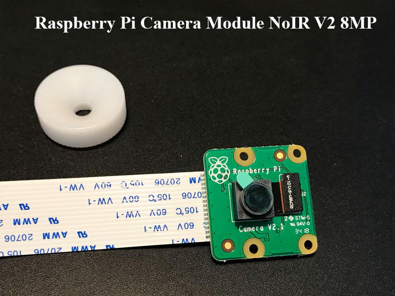 Module Camera Raspberry Pi NoIR V2 8MP