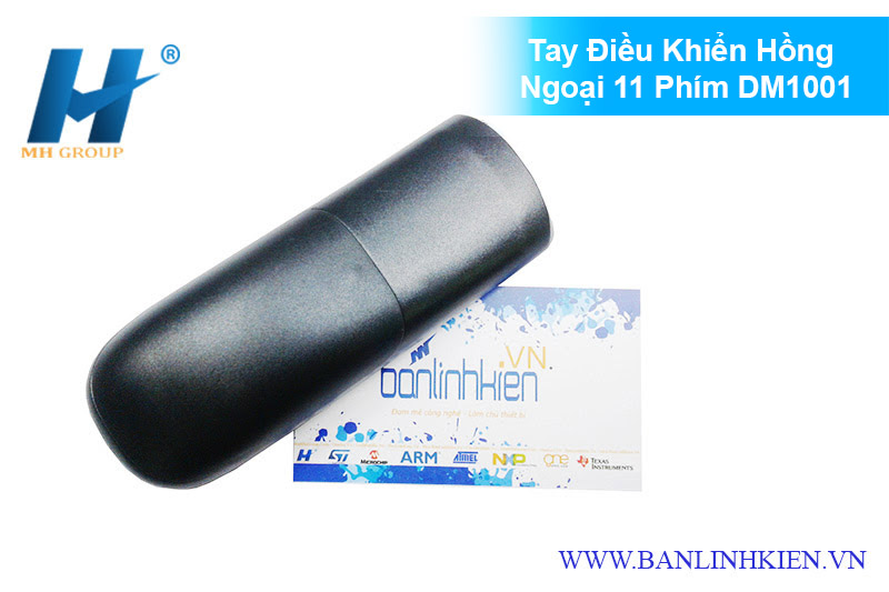 Tay Điều Khiển Hồng Ngoại 11 Phím DM1001