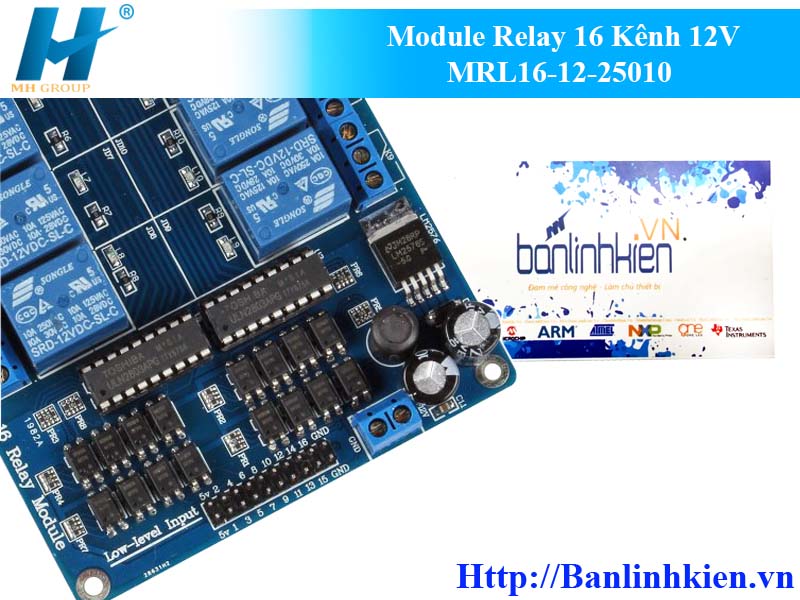 Module Relay 16 Kênh 12V MRL16-‎‎12-25010