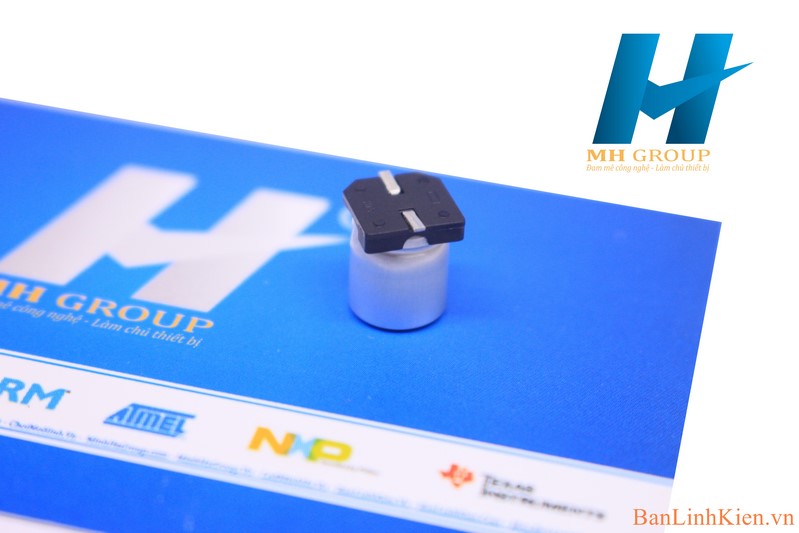 Tụ Nhôm 220uF 10V
