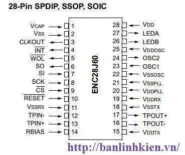 ENC28J60/SS SSOP28