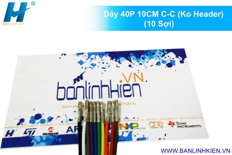 Dây 40P 10CM C-C (Ko Header) (10 Sợi)