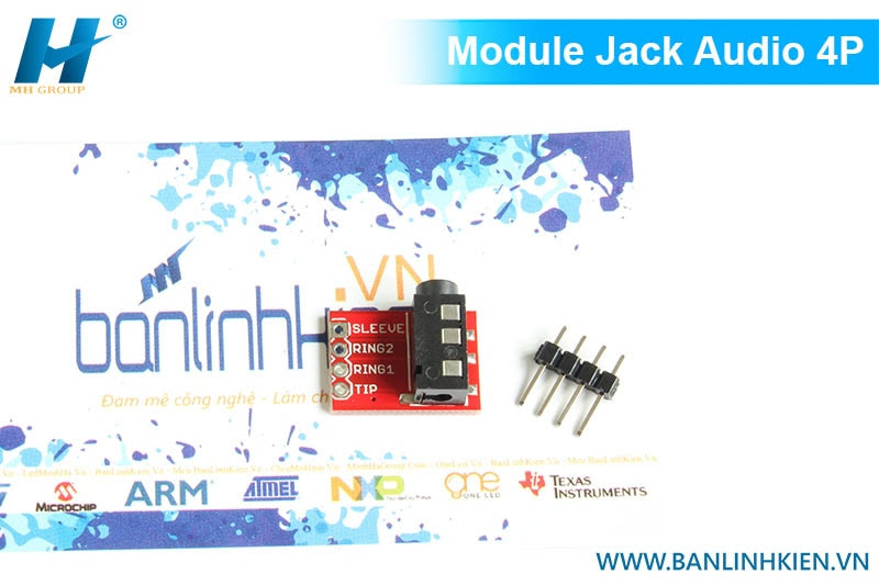 Module Jack Audio 4P