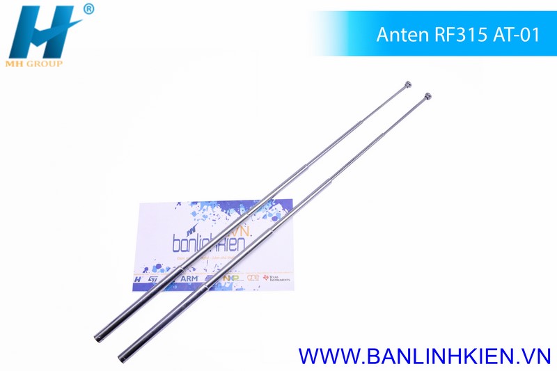 Anten RF315 AT-01