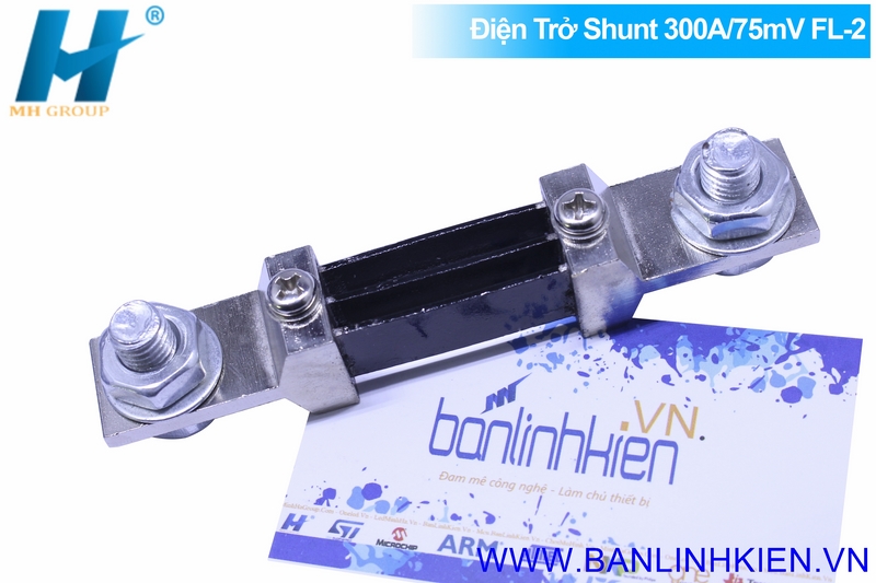 Điện Trở Shunt 300A/75mV FL-2