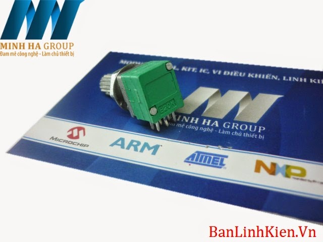 Biến Trở RK097G B20K