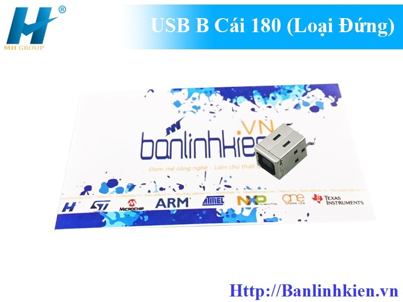 USB B Cái 180 (Loại Đứng)