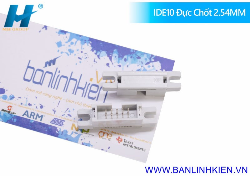 IDE10 Đực Chốt 2.54MM