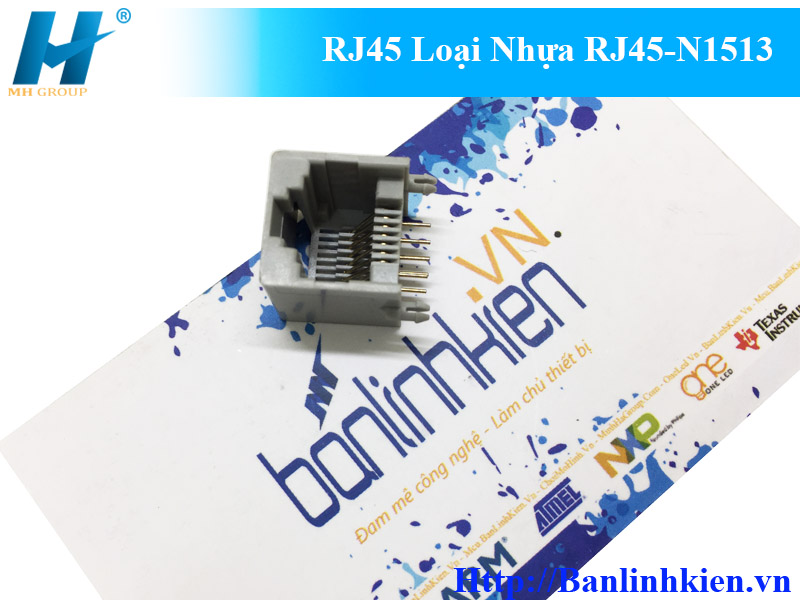 RJ45 Loại Nhựa RJ45-N1513