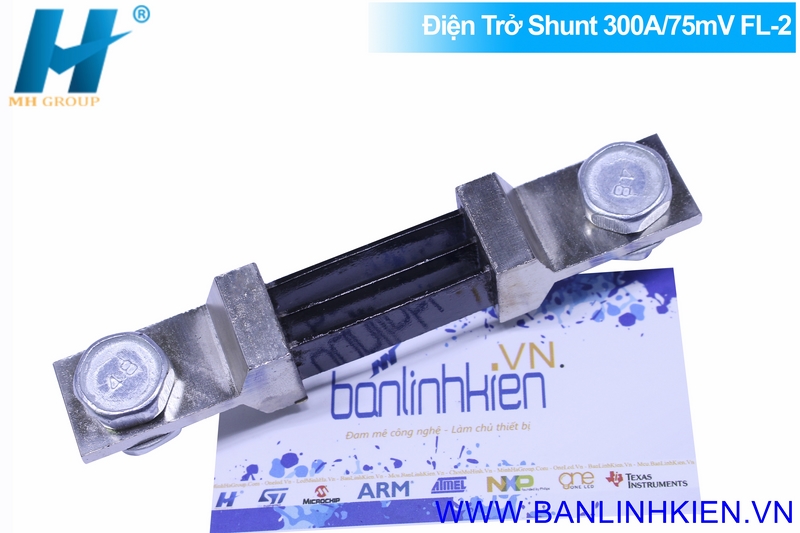 Điện Trở Shunt 300A/75mV FL-2