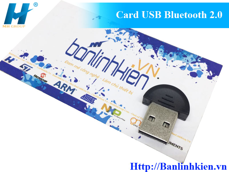 Card USB Bluetooth 2.0