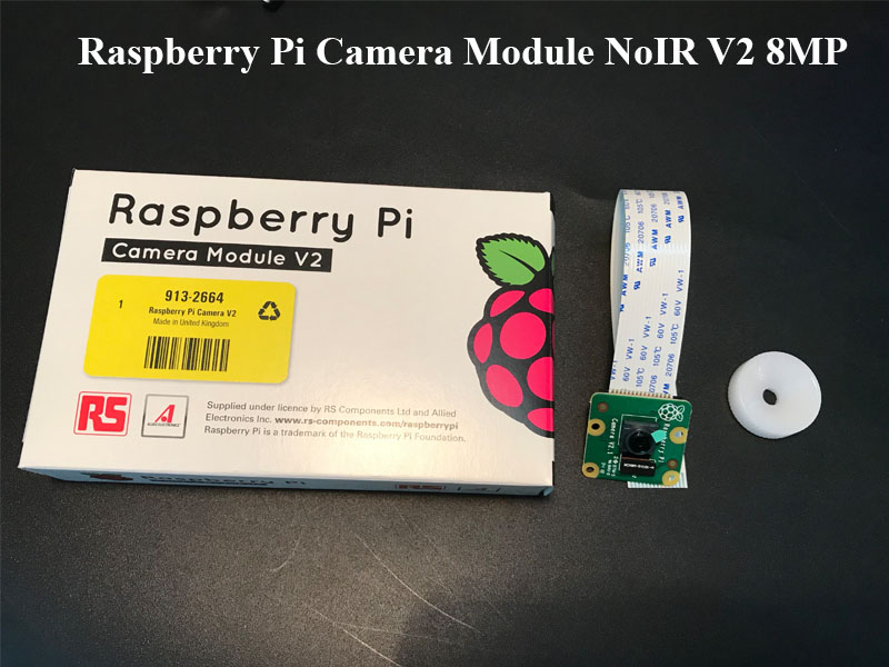 Module Camera Raspberry Pi NoIR V2 8MP