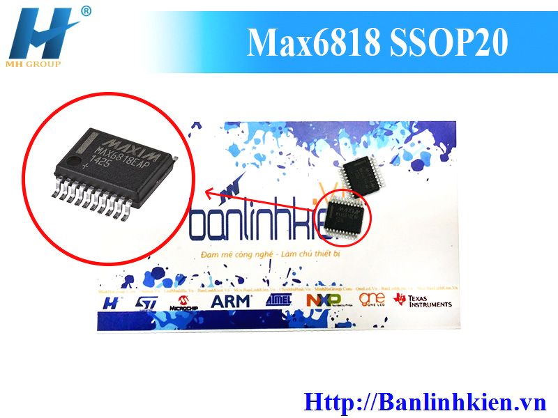 Max6818 SSOP20