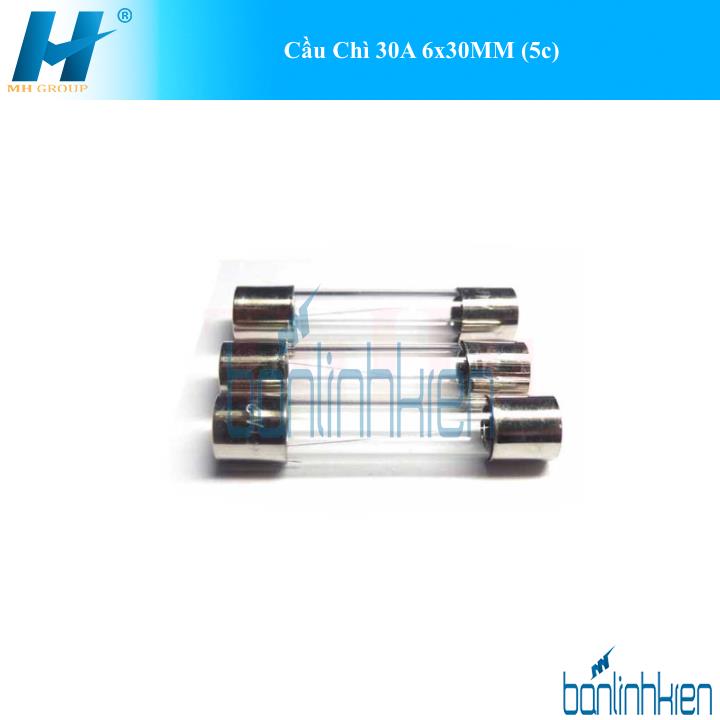 Cầu Chì 30A 6x30MM (5c)