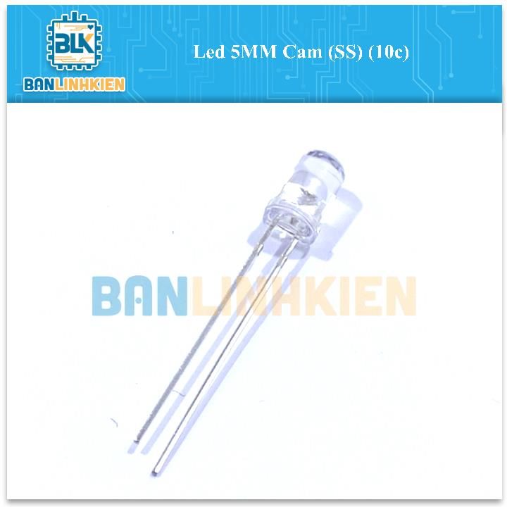 Led 5MM Cam (SS) (10c)