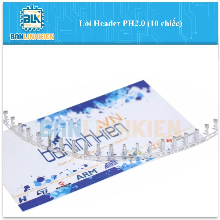 Lõi Header PH2.0 (10 chiếc)