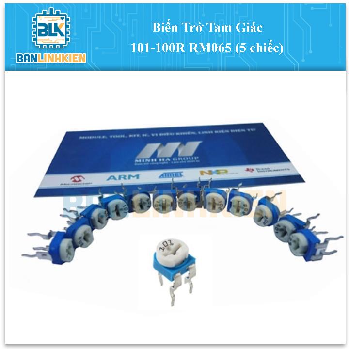 Biến Trở Tam Giác 101-100R RM065 (5 chiếc)