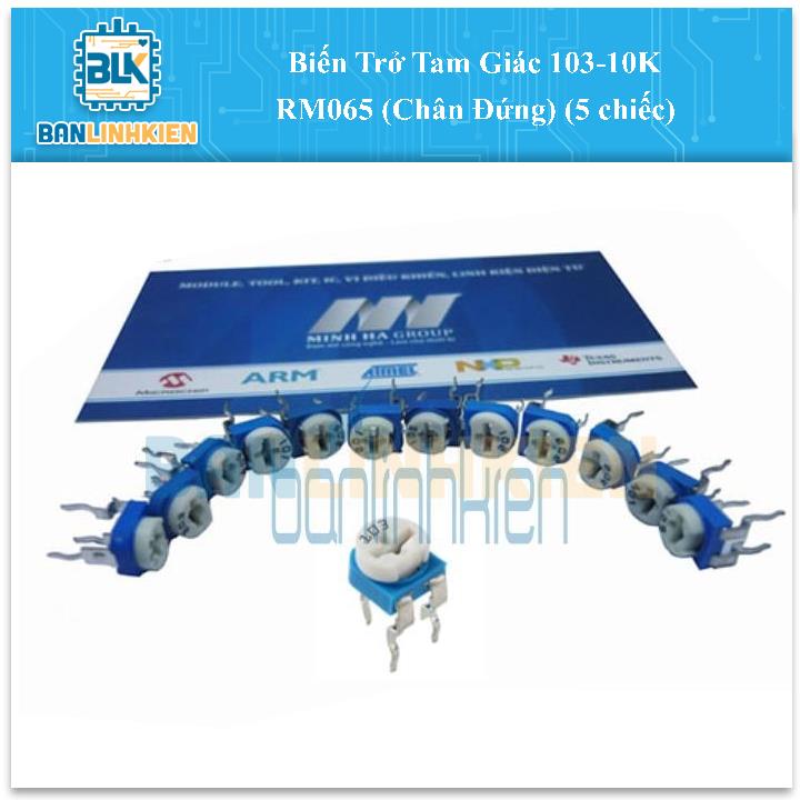 Biến Trở Tam Giác 103-10K RM065 (Chân Đứng) (5 chiếc)