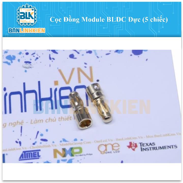 Cọc Đồng Module BLDC Đực (5 chiếc)