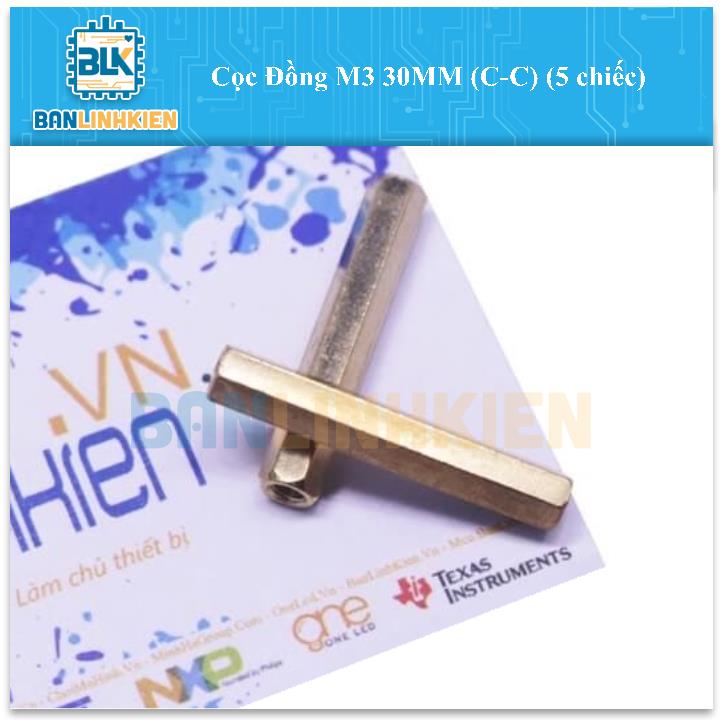 Cọc Đồng M3 30MM (C-C) (5 chiếc)