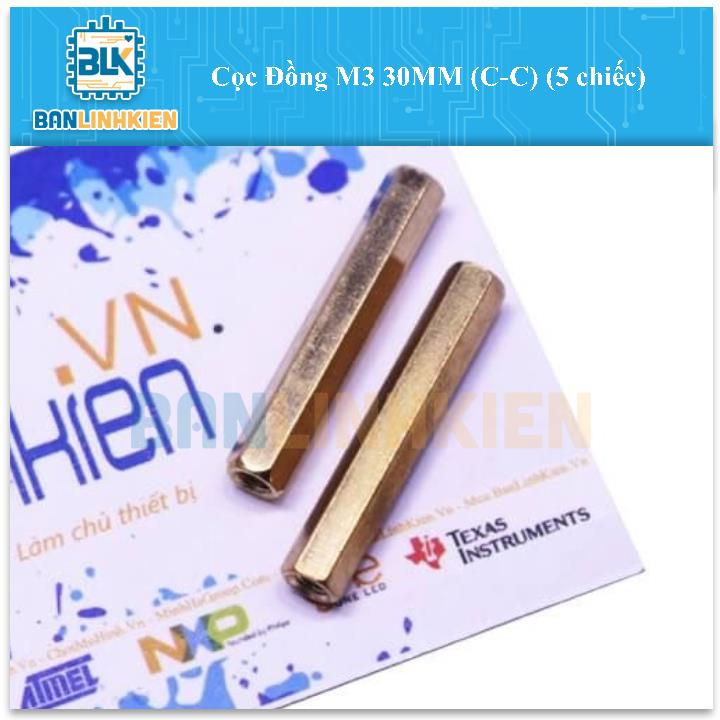 Cọc Đồng M3 30MM (C-C) (5 chiếc)