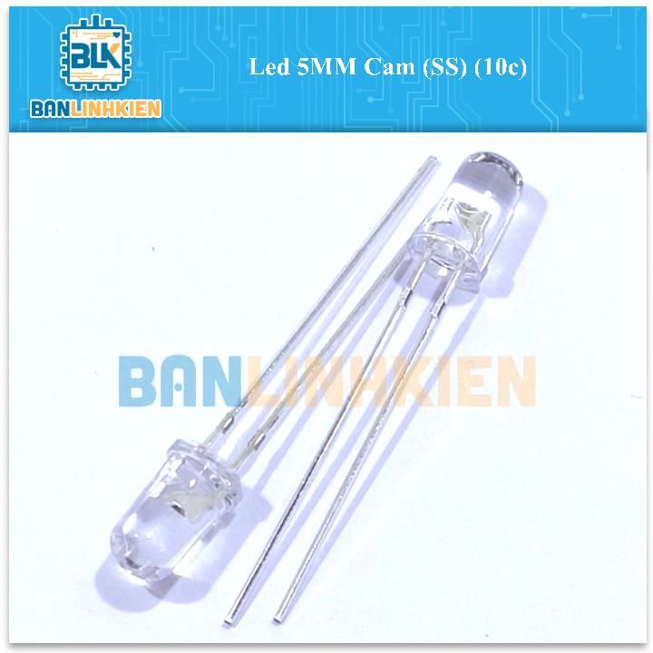 Led 5MM Cam (SS) (10c)