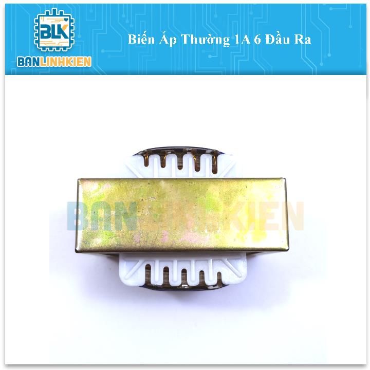 Biến Áp Thường 1A 6 Đầu Ra