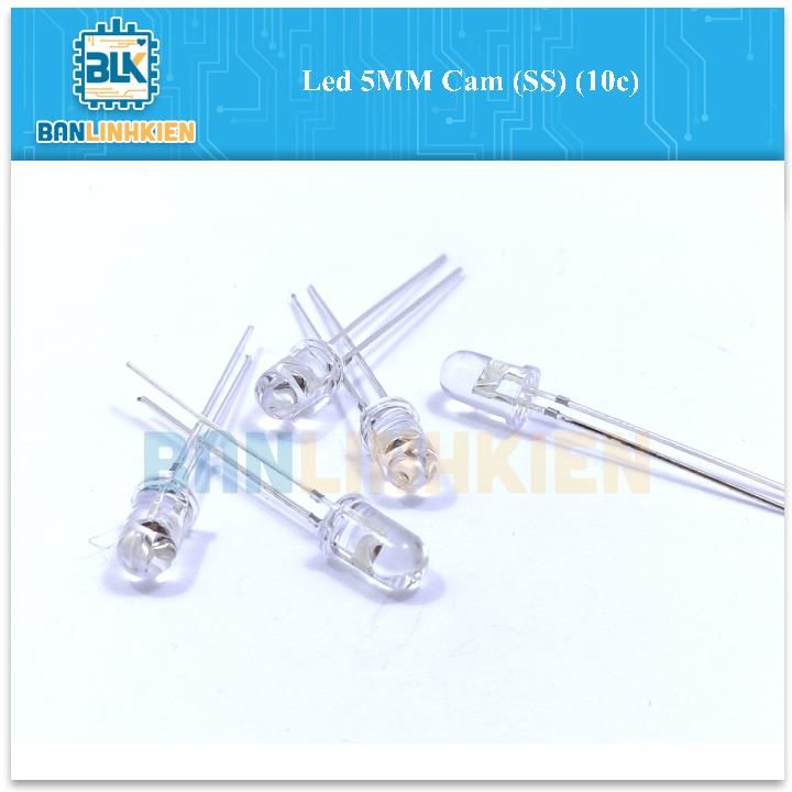 Led 5MM Cam (SS) (10c)