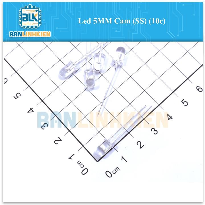 Led 5MM Cam (SS) (10c)