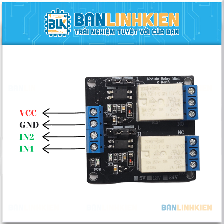 Module Relay Mini 2 Kênh 12V RL-M2-12V