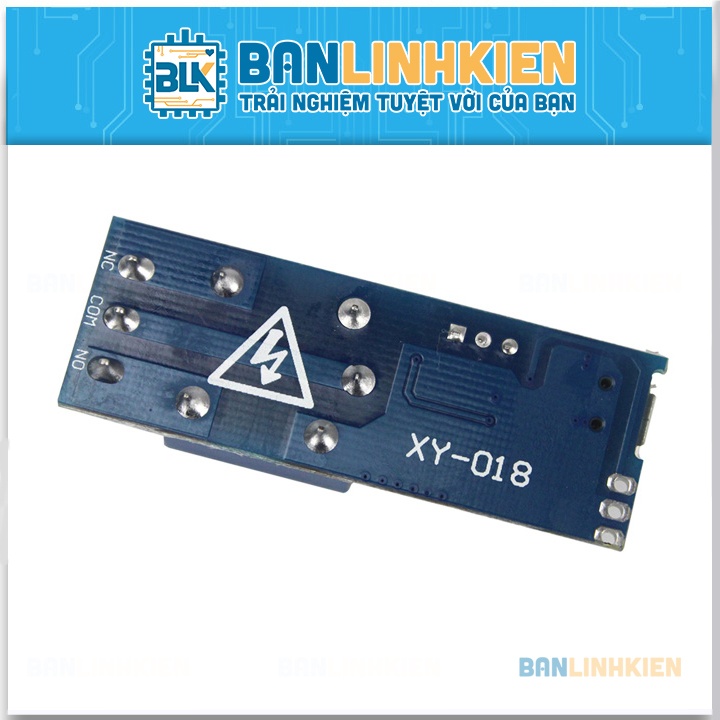 Module Kích Tạo Trễ 0-24S NE555-XY018