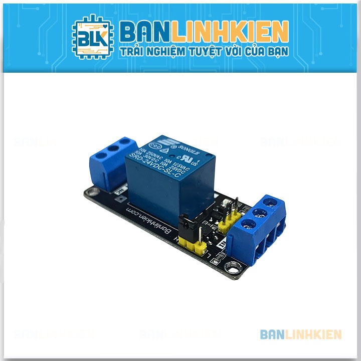 Module Relay Mini 1 Kênh 24V10A BLK