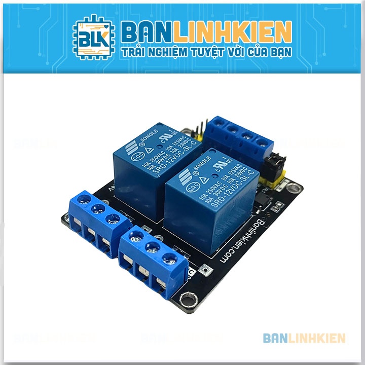 Module Relay Mini 2 Kênh 12V10A BLK